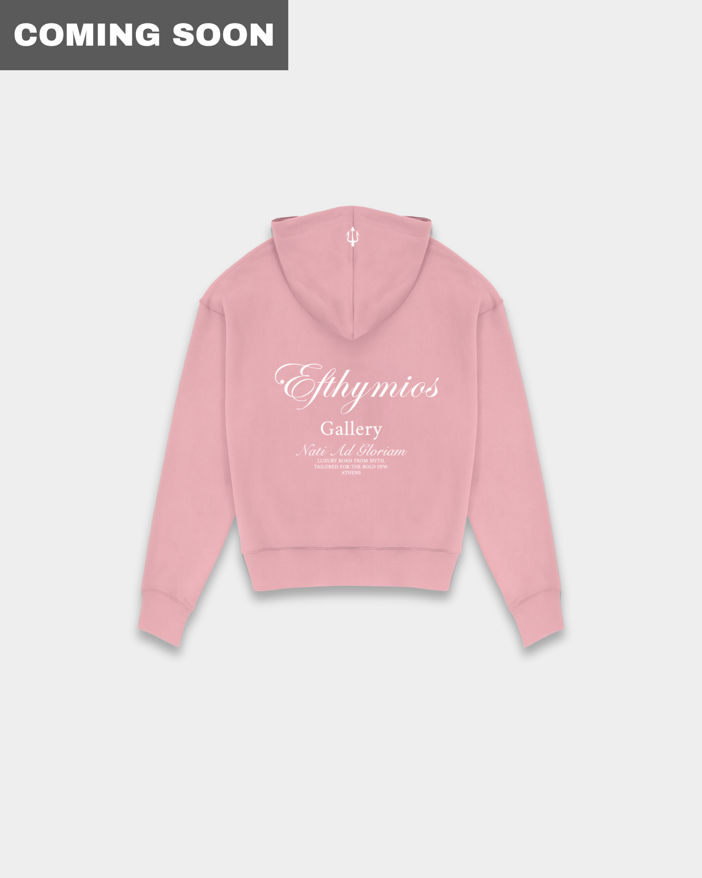 BORN FOR GLORY ZIP HOODIE - PINK